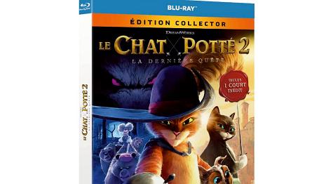 Le chat Potté 2
